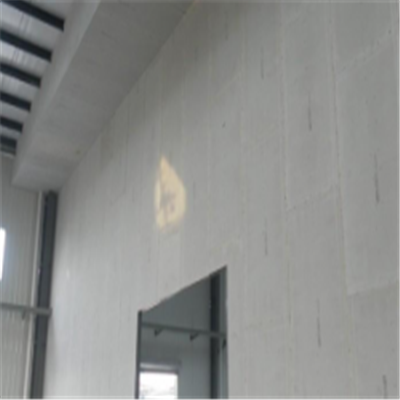 麟游宁波ALC板|EPS加气板隔墙与混凝土整浇联接的实验研讨